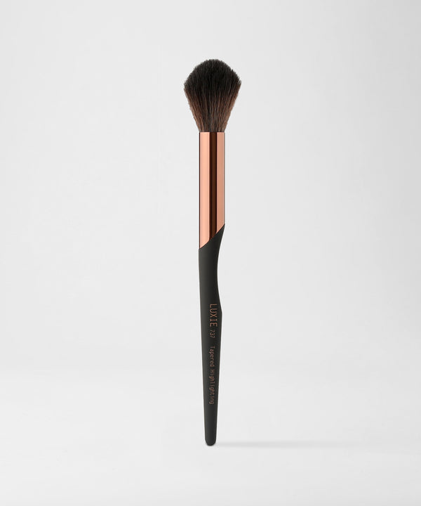 LUXIE 737 Tapered Highlighter Brush - ProTools - LuxieBeauty